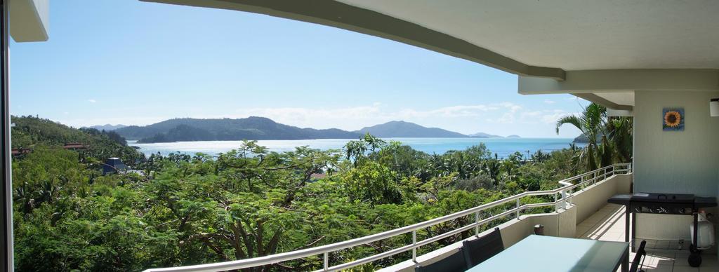 Poinciana 112 Apartment Đảo Hamilton Ngoại thất bức ảnh